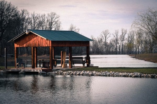 DSC_0533 DSC_0533
