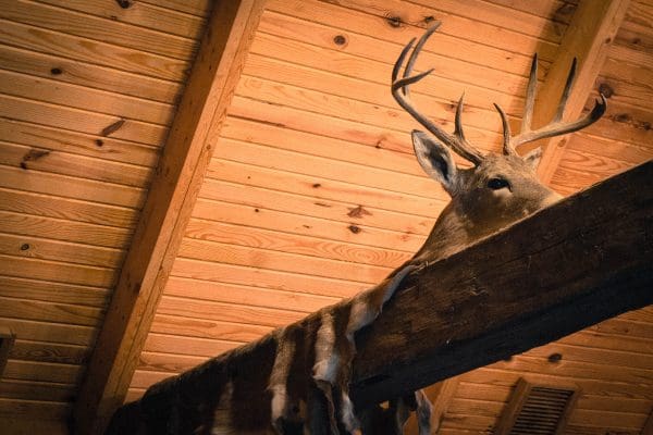 DSC_0600 DSC_0600